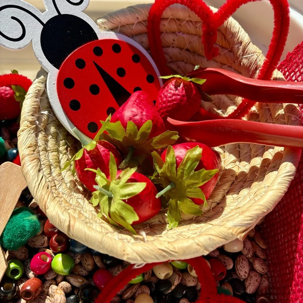 Strawberry and Ladybug Sensory Bin Filler